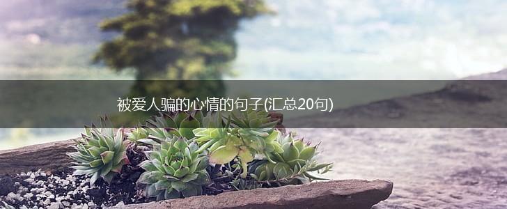 被爱人骗的心情的句子(汇总20句),第1张