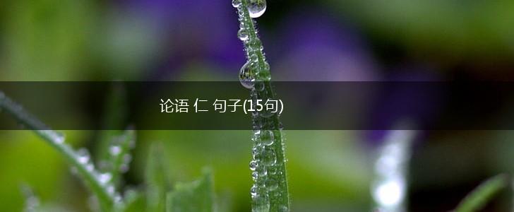 论语 仁 句子(15句),第1张