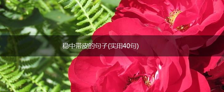 稳中带皮的句子(实用40句),第1张
