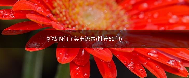 祈祷的句子经典语录(推荐50句),第1张