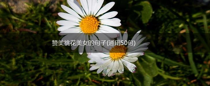 赞美桃花美女的句子(通用50句),第1张
