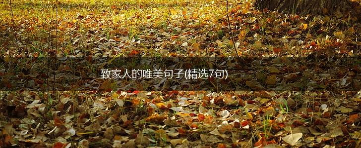致家人的唯美句子(精选7句),第1张