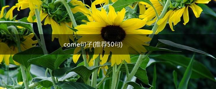 come句子(推荐50句),第1张