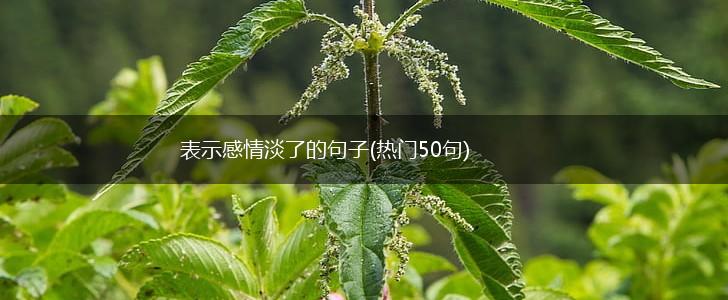 表示感情淡了的句子(热门50句),第1张