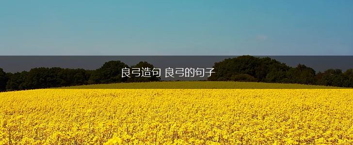 良弓造句 良弓的句子,第1张