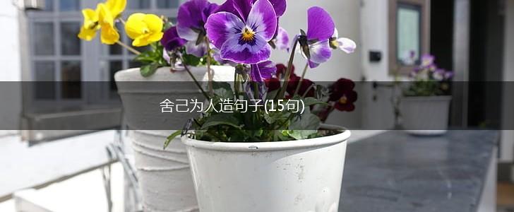 舍己为人造句子(15句),第1张