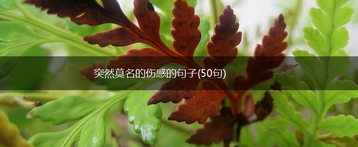 突然莫名的伤感的句子(50句),第1张