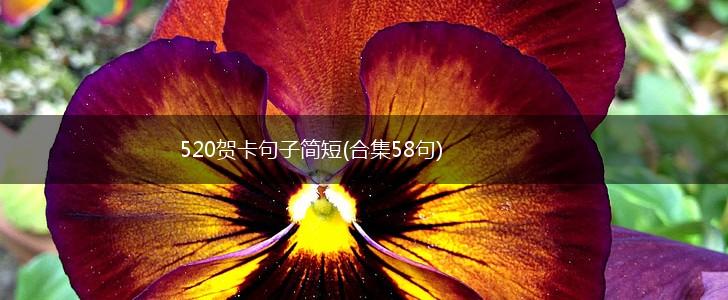 520贺卡句子简短(合集58句),第1张