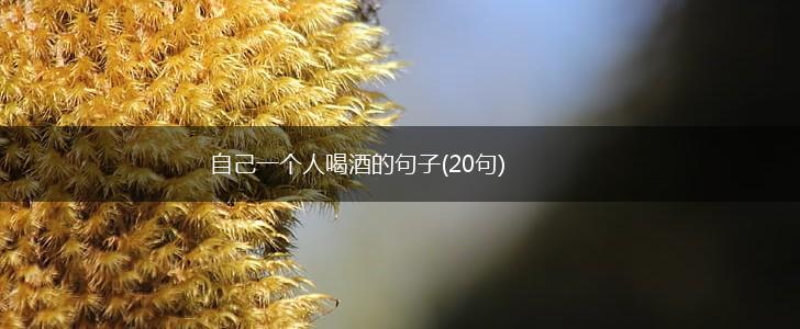 自己一个人喝酒的句子(20句),第1张