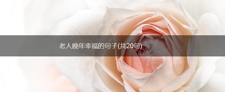 老人晚年幸福的句子(共20句),第1张