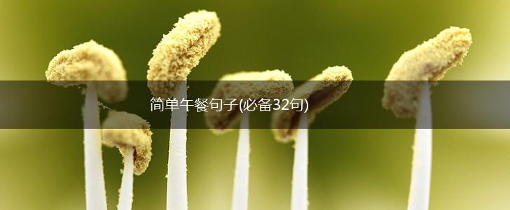 简单午餐句子(必备32句),第1张