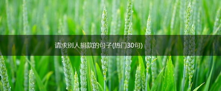 请求别人捐款的句子(热门30句),第1张