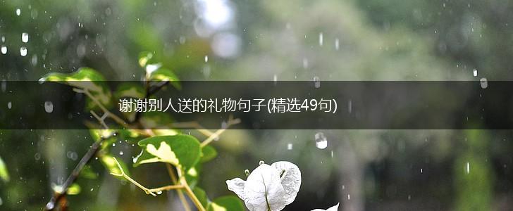 谢谢别人送的礼物句子(精选49句),第1张