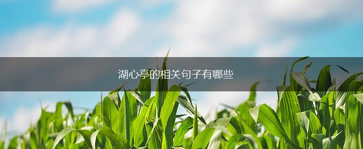 湖心亭的相关句子有哪些,第1张