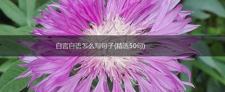自言自语怎么写句子(精选50句),第1张