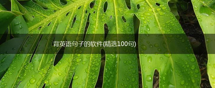 背英语句子的软件(精选100句),第1张