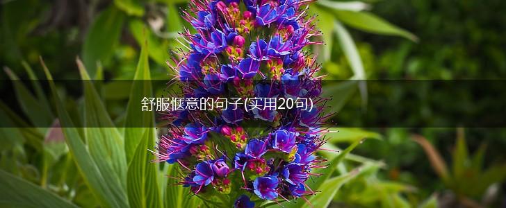 舒服惬意的句子(实用20句),第1张