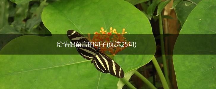 给情侣留言的句子(优选25句),第1张