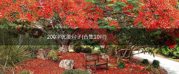 200字优美句子(合集10句),第1张