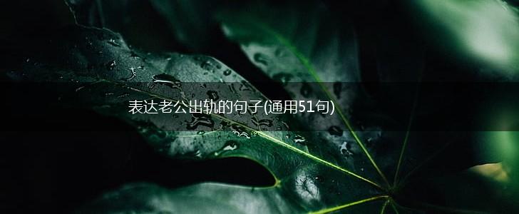 表达老公出轨的句子(通用51句),第1张