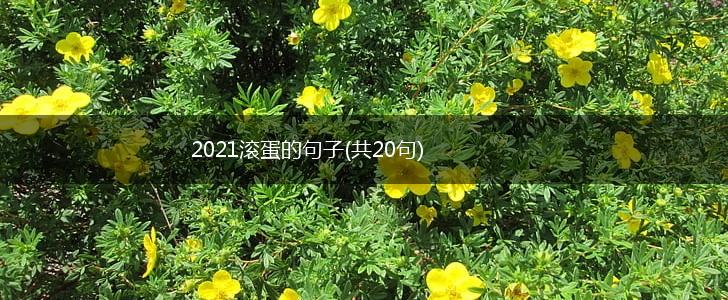 2021滚蛋的句子(共20句),第1张