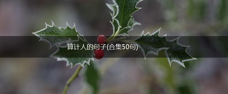 算计人的句子(合集50句),第1张
