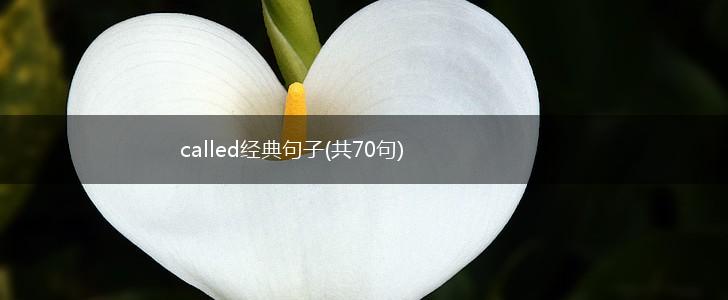 called经典句子(共70句),第1张