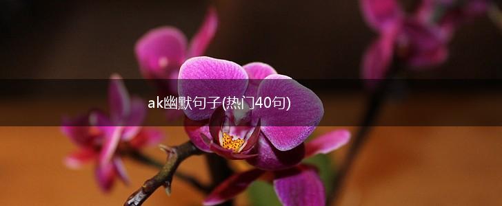 ak幽默句子(热门40句),第1张