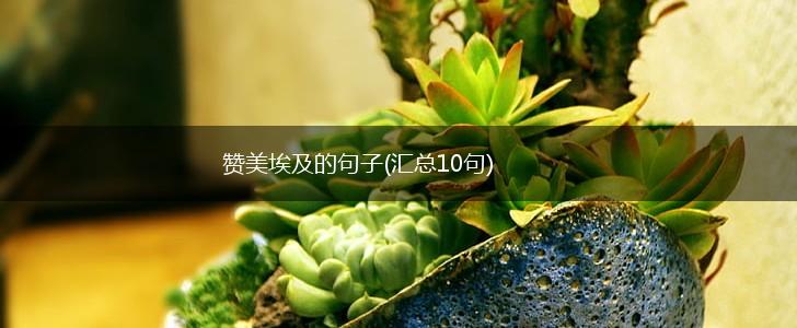 赞美埃及的句子(汇总10句),第1张
