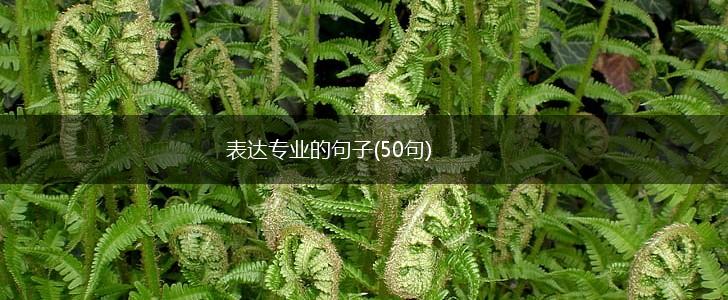 表达专业的句子(50句),第1张