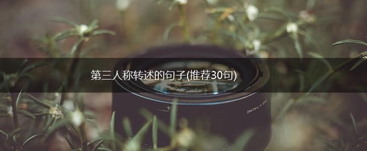 第三人称转述的句子(推荐30句),第1张