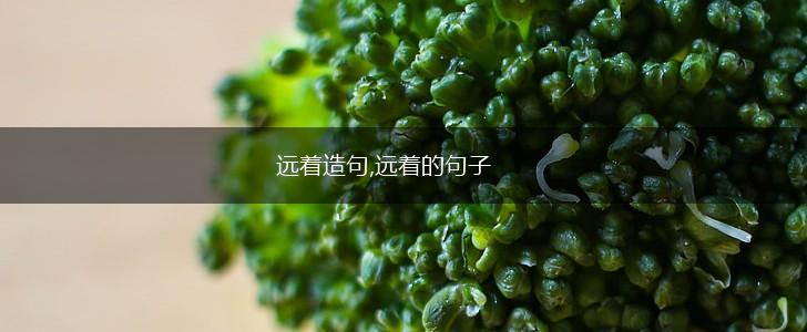 远着造句,远着的句子,第1张