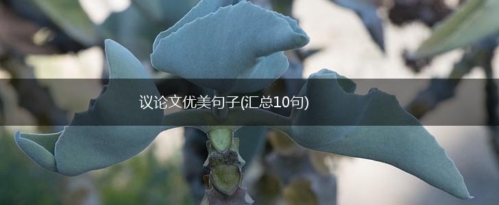 议论文优美句子(汇总10句),第1张