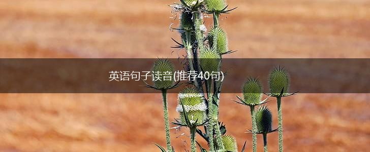 英语句子读音(推荐40句),第1张