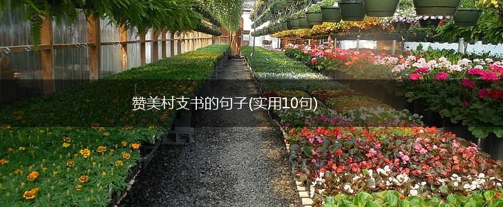 赞美村支书的句子(实用10句),第1张