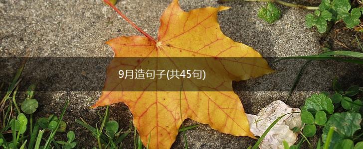 9月造句子(共45句),第1张