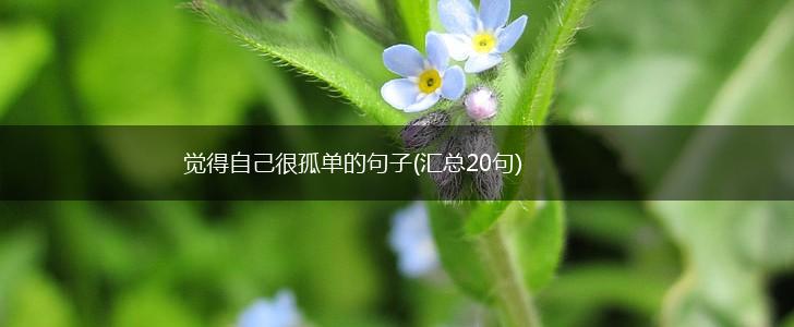 觉得自己很孤单的句子(汇总20句),第1张