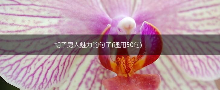 胡子男人魅力的句子(通用50句),第1张