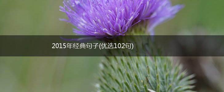 2015年经典句子(优选102句),第1张