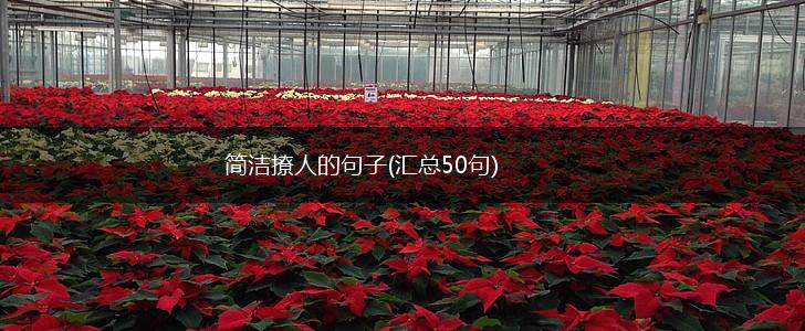 简洁撩人的句子(汇总50句),第1张