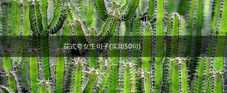 花式夸女生句子(实用50句),第1张