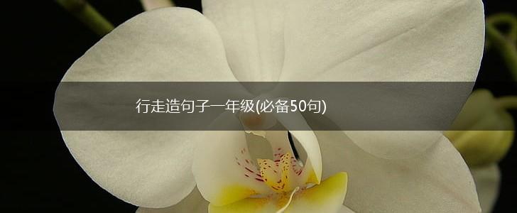 行走造句子一年级(必备50句),第1张