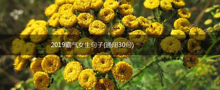 2019霸气女生句子(通用30句),第1张