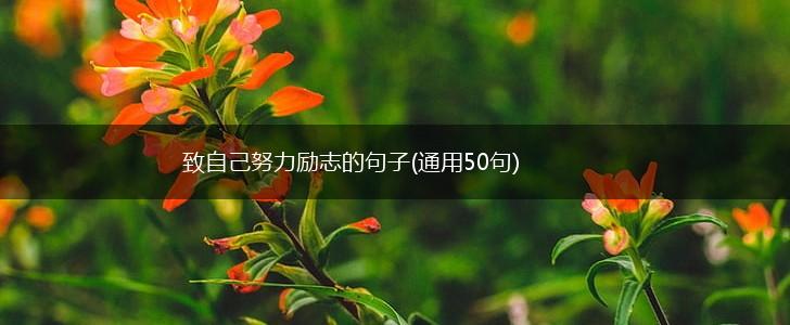 致自己努力励志的句子(通用50句),第1张