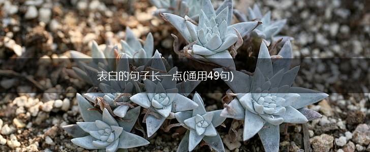 表白的句子长一点(通用49句),第1张