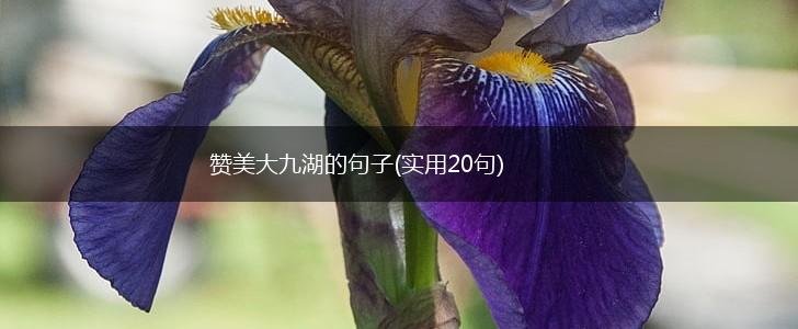 赞美大九湖的句子(实用20句),第1张
