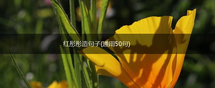 红彤彤造句子(通用50句),第1张