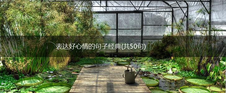 表达好心情的句子经典(共50句),第1张