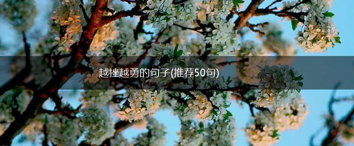 越挫越勇的句子(推荐50句),第1张