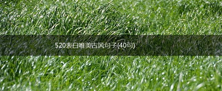 520表白唯美古风句子(40句),第1张